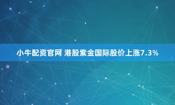 小牛配资官网 港股紫金国际股价上涨7.3%
