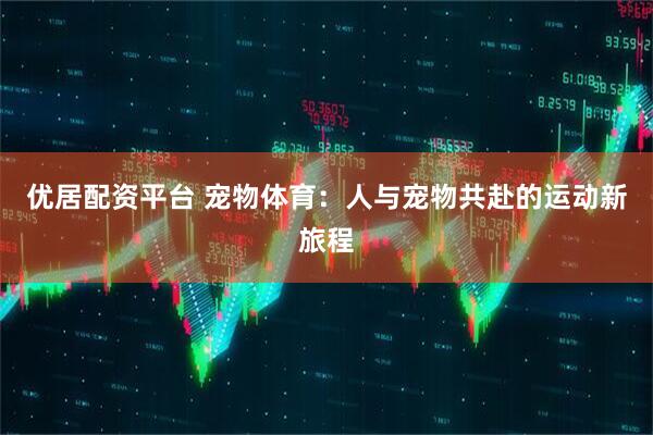 优居配资平台 宠物体育：人与宠物共赴的运动新旅程