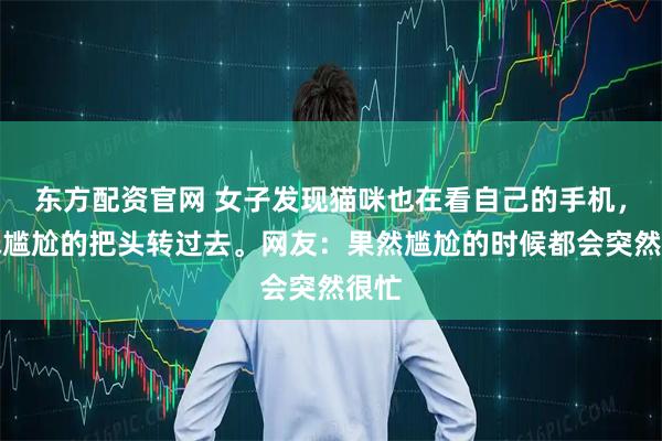 东方配资官网 女子发现猫咪也在看自己的手机，猫咪尴尬的把头转过去。网友：果然尴尬的时候都会突然很忙